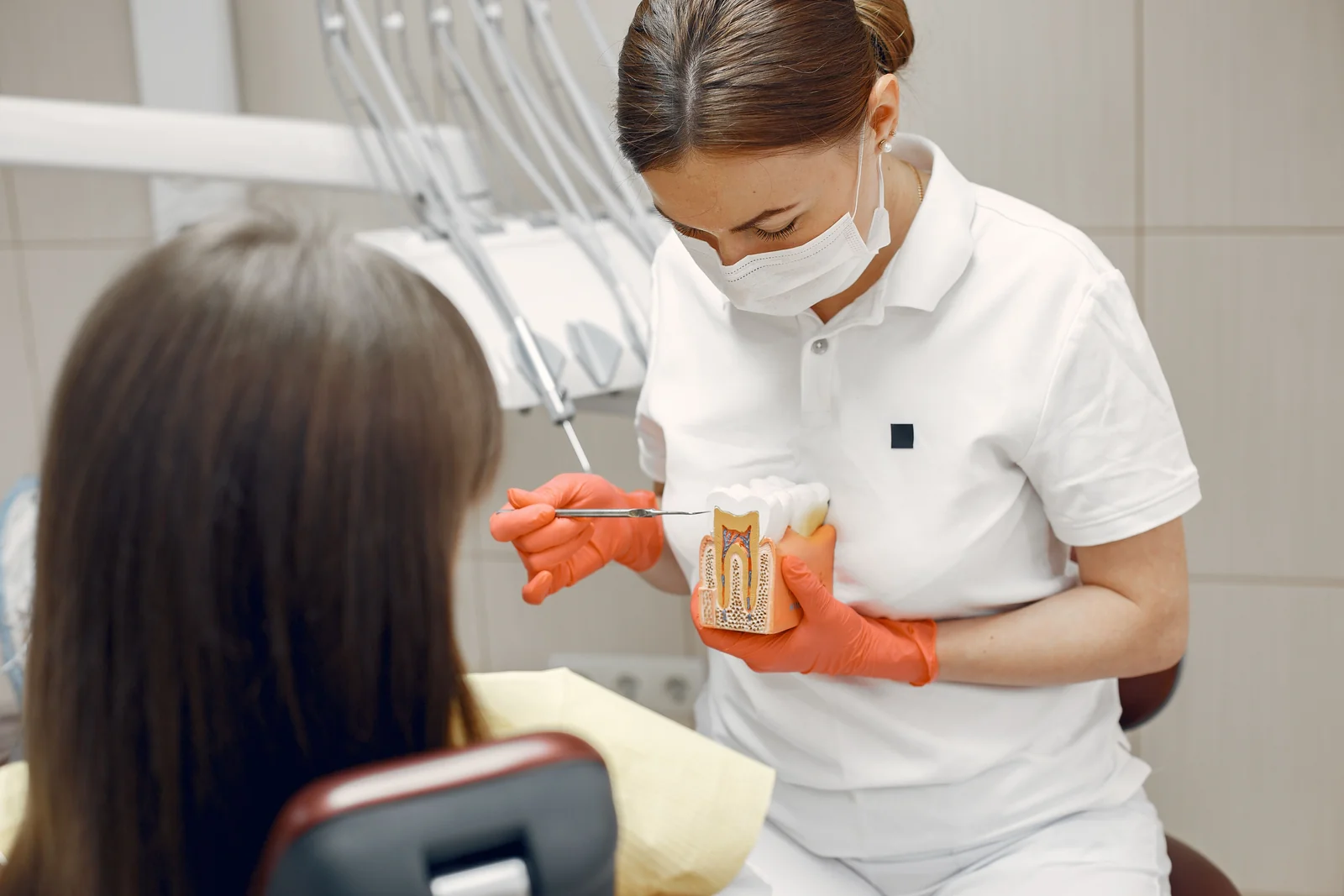 Dentista explicando a paciente com modelo anatomico durante consulta
